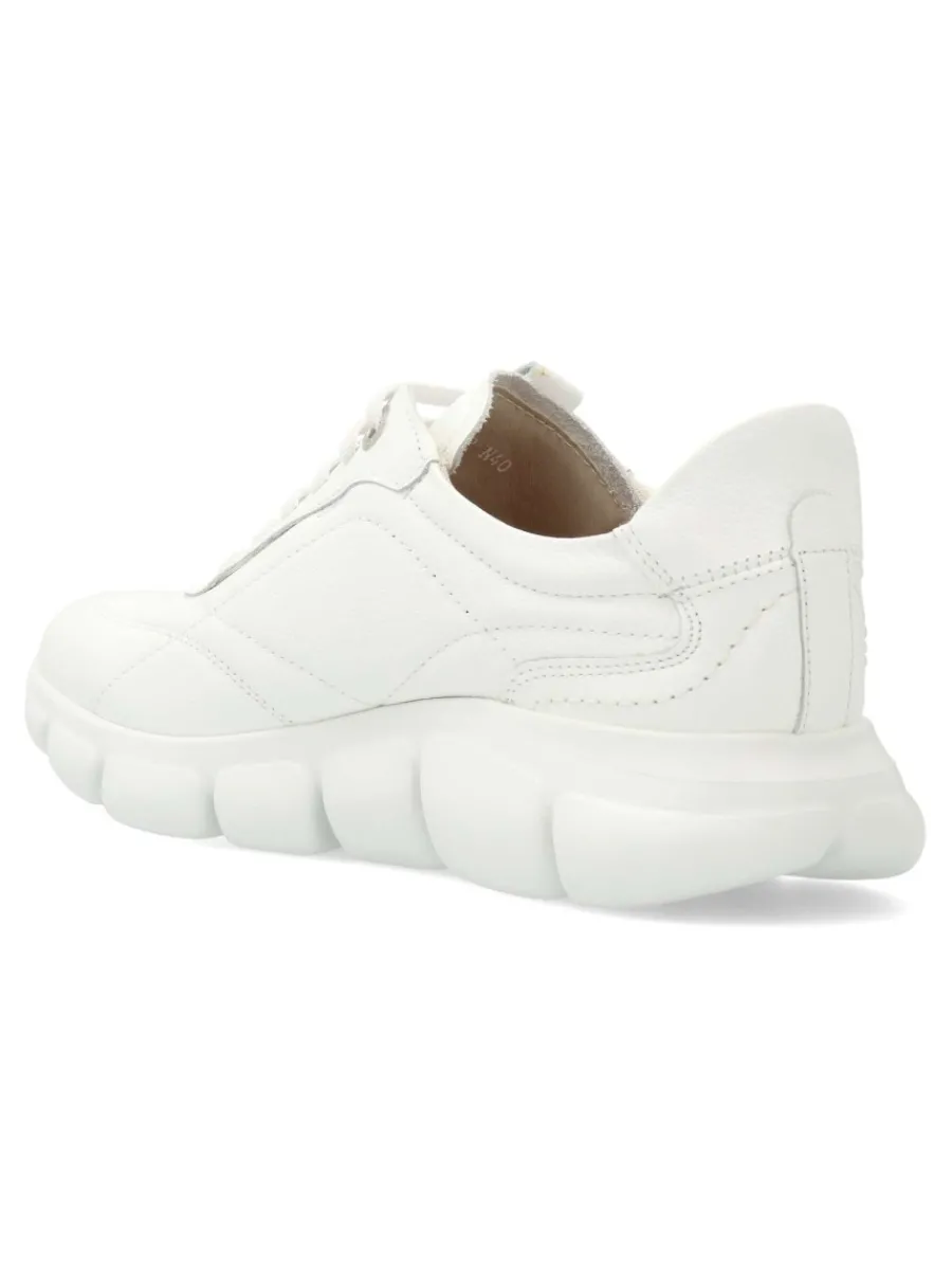 Discount CALLAGHAN Zapatilla deportiva casual Floty piel confort