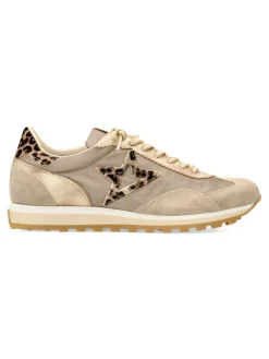 Online CETTI Zapatilla urbana print animal leopardo