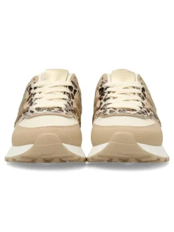 Best VVNN Zapatilla urbana casual print leopardo